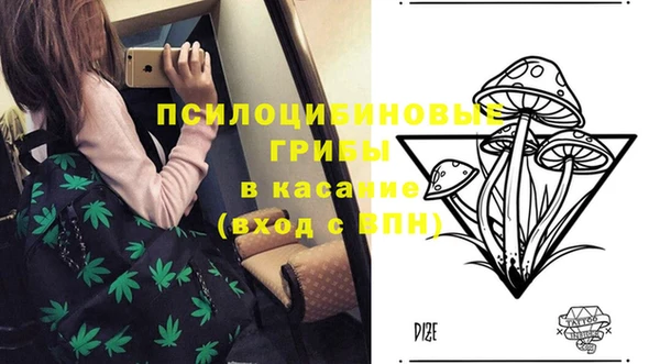 Альфа ПВП Армянск