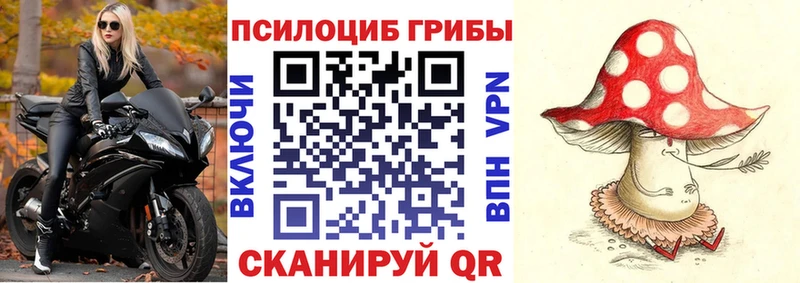 Псилоцибиновые грибы прущие грибы  Уфа 